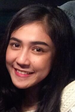 Novi Herlina