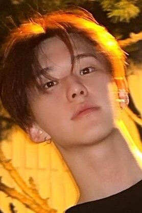 Hoshi