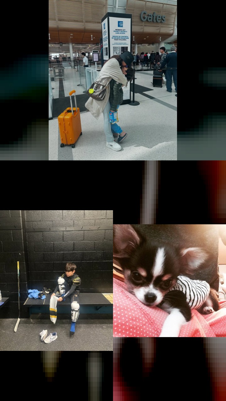 Ahn Sun-Young's 10 Most-Liked Instagram Moments