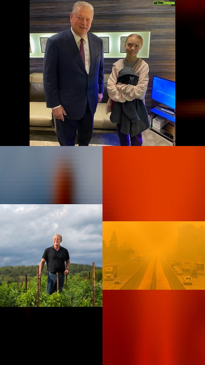 Top 10 Most Engaging Instagram Posts by Al Gore