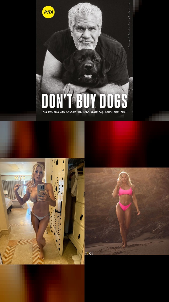 Allison Dunbar's Top 10 Instagram Photos That Got the Most Likes