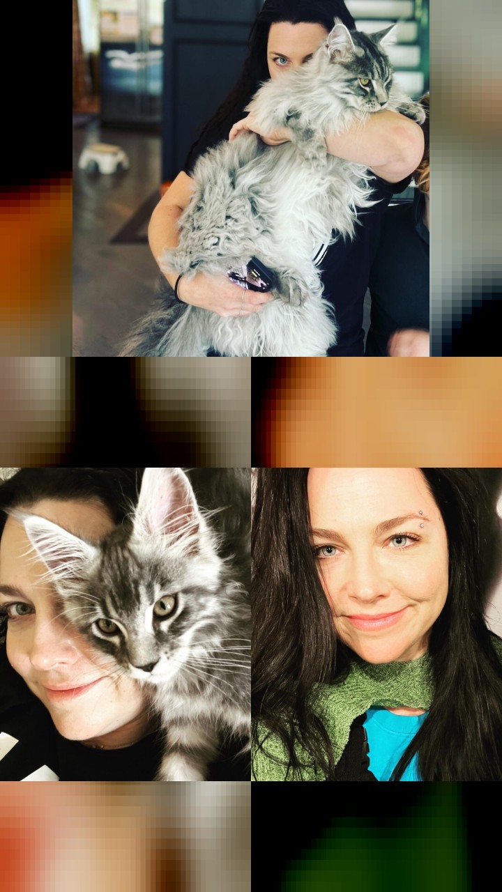 Amy Lee's Top 10 Instagram Photos That Got the Most Likes