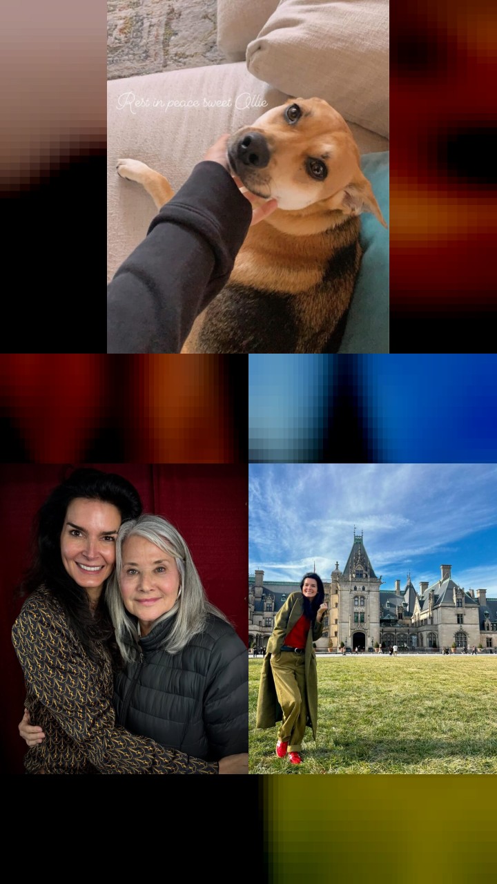 The Top 10 Most Engaging Instagram Photos of Angie Harmon