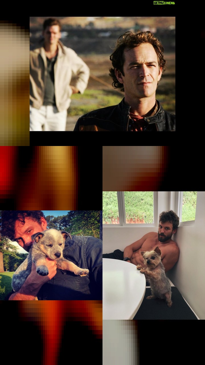 Double Tap Frenzy: Austin Nichols's Top 10 Instagram Pics