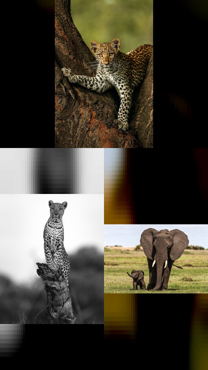 Beverly Joubert’s 10 Most Loved Instagram Photos