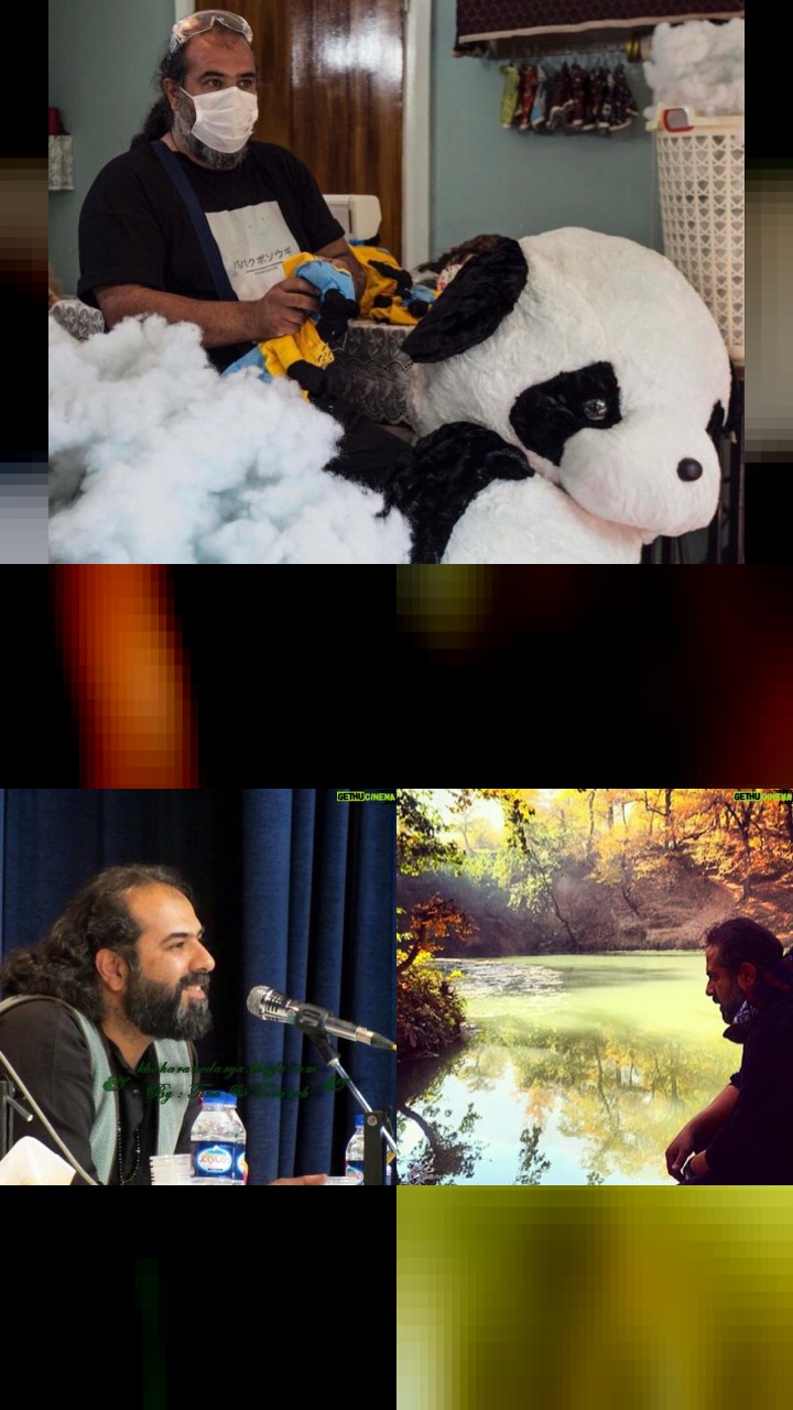 The Most Loved Instagram Photos of Borzoo Niknejad: Top 10