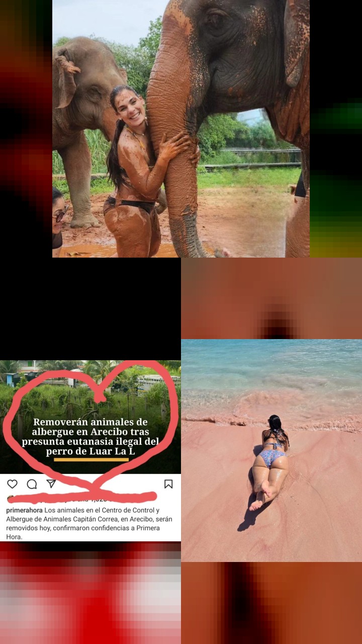 Brenda Robles's Most Liked Instagram Photos of All Time
