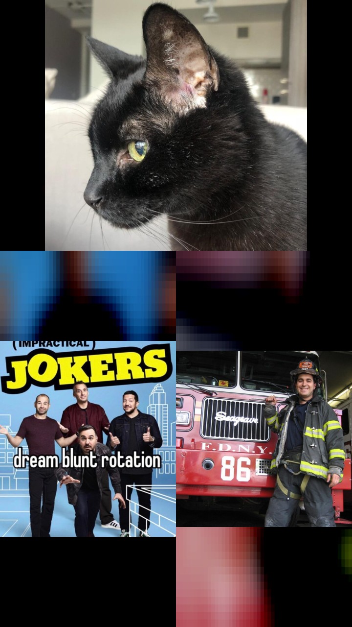 Brian Quinn’s Top 10 Instagram Photos That Captured Hearts