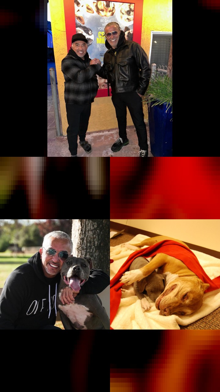 10 Iconic Instagram Photos of Cesar Millan