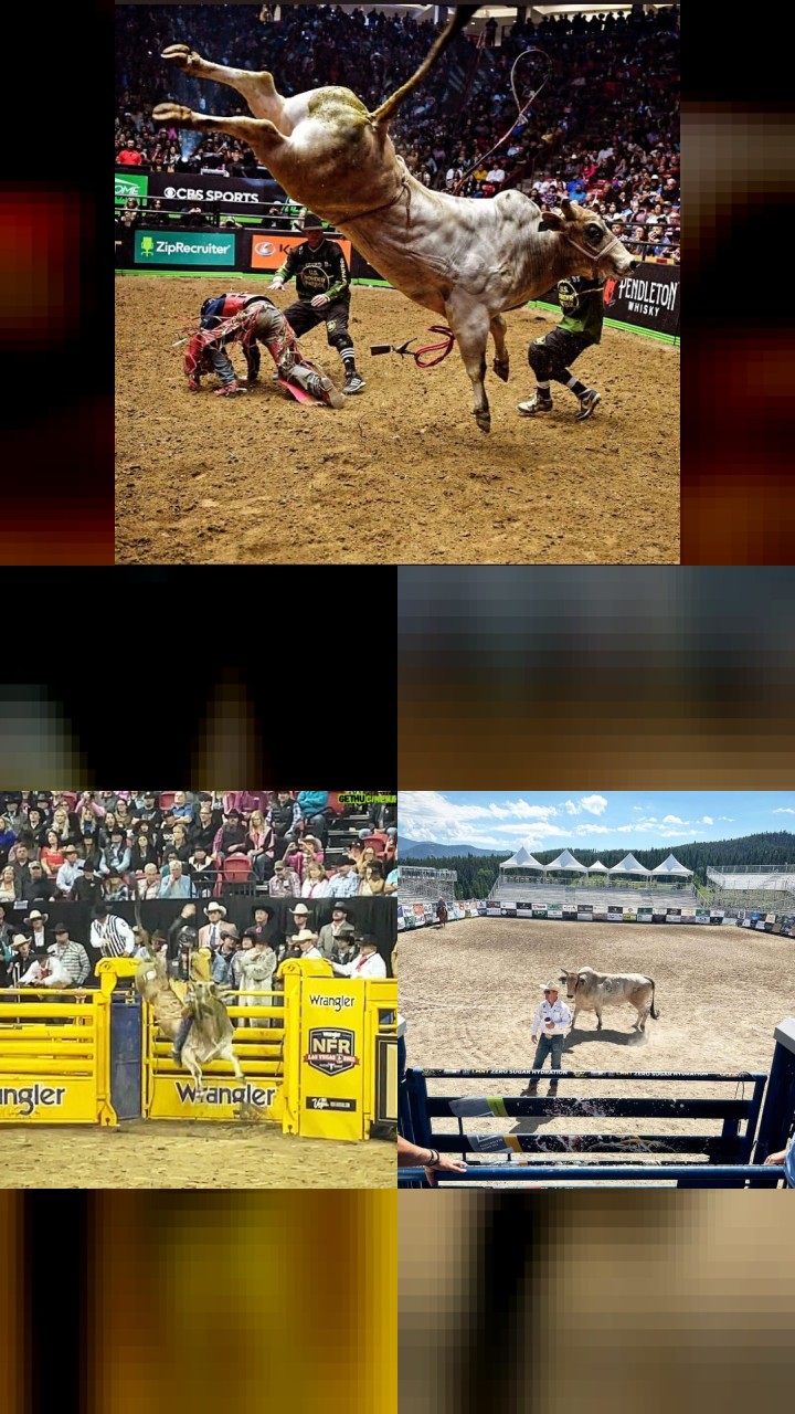 Discover Cord McCoy’s 10 Most Popular Instagram Pics