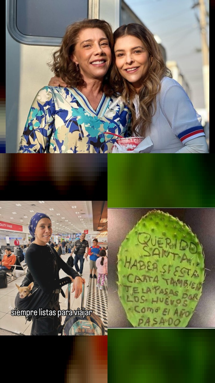 Cynthia Klitbo's Instagram: Top 10 Most Loved Photos