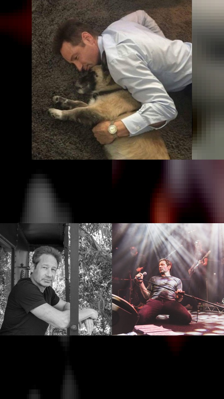 Countdown: David Duchovny's 10 Most Popular Instagram Posts