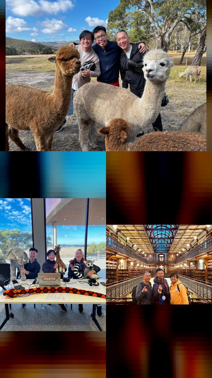 Top 10 Most Engaging Instagram Posts by Dennis Chew
