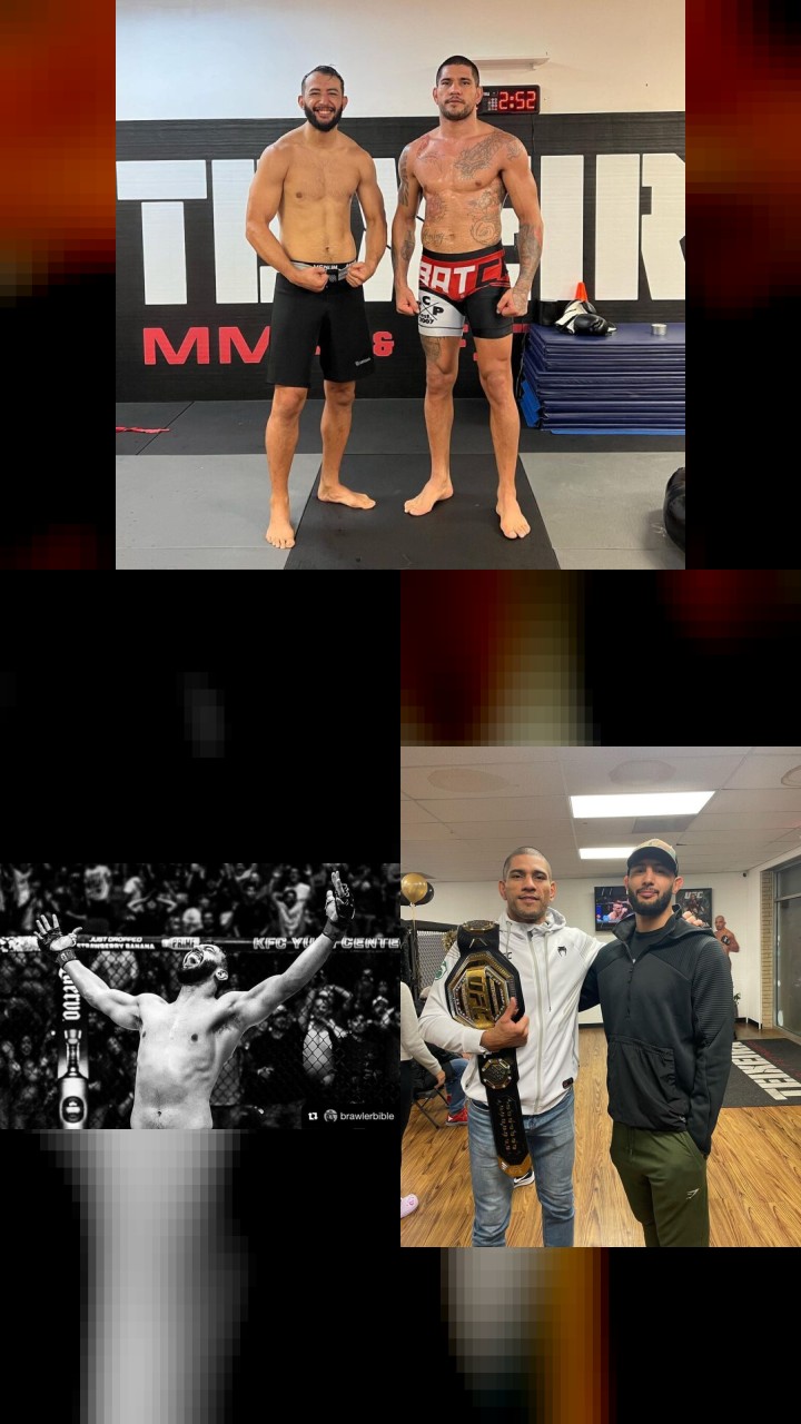 Top 10 Instagram Photos of Dominick Reyes You Have to See