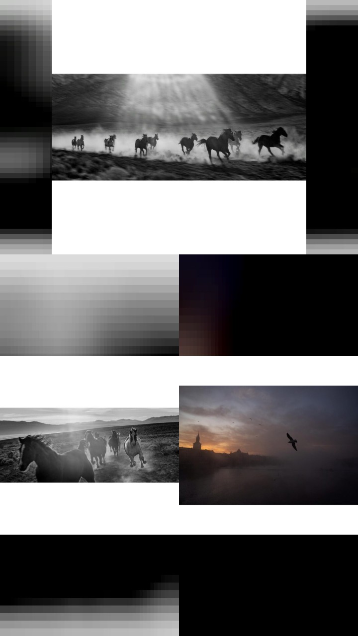 The Top 10 Most Engaging Instagram Photos of Emmanuel Lubezki