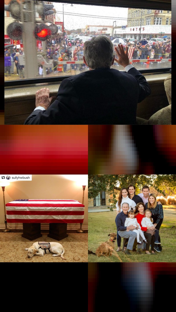 George W. Bush's Top 10 Instagram Photos That Got the Most Likes