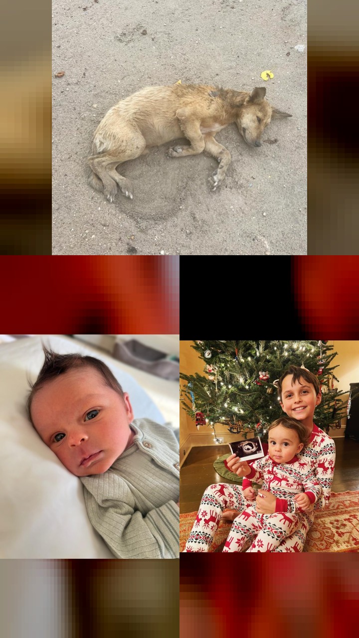 Georgina Bloomberg's Top 10 Instagram Photos That Got the Most Likes