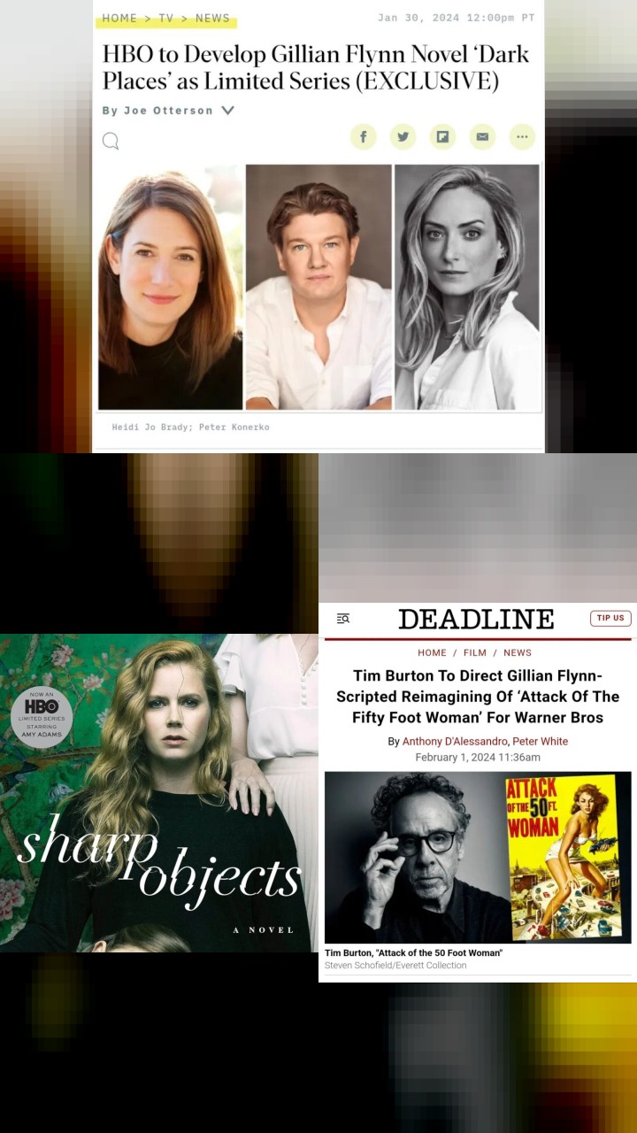 The Most Loved Instagram Photos of Gillian Flynn: Top 10
