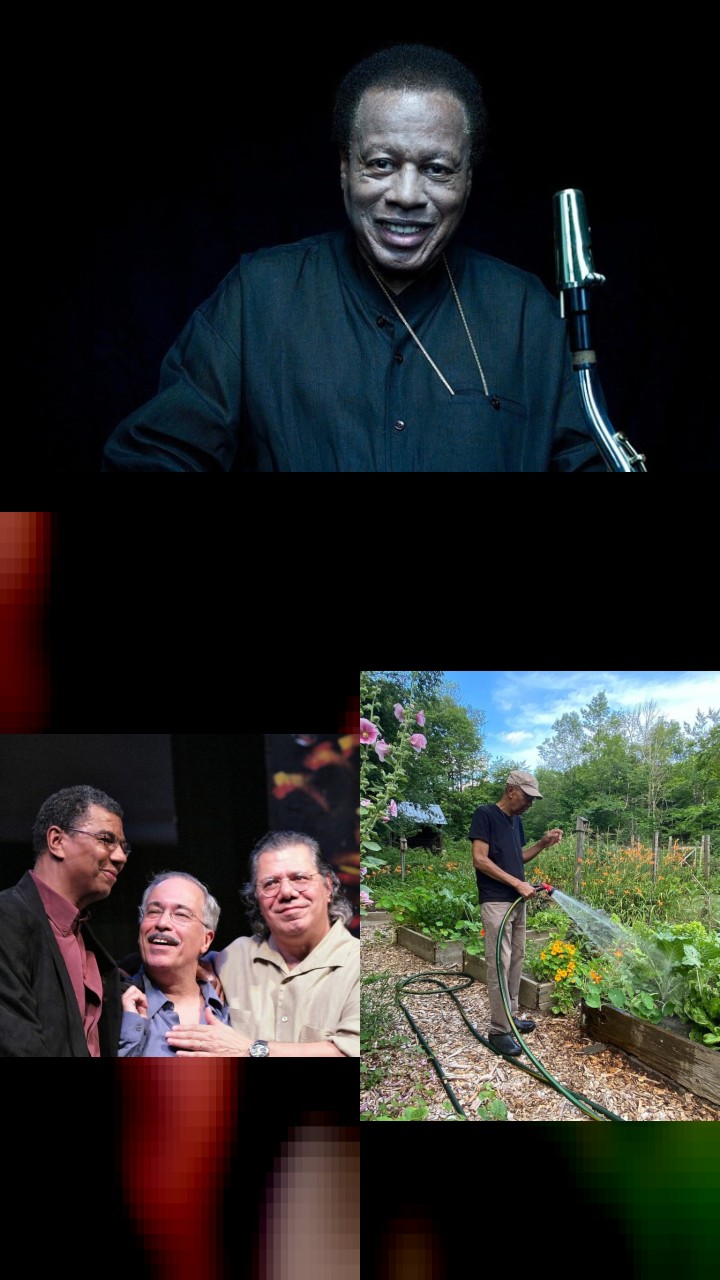 Jack DeJohnette’s Top 10 Instagram Photos That Captured Hearts