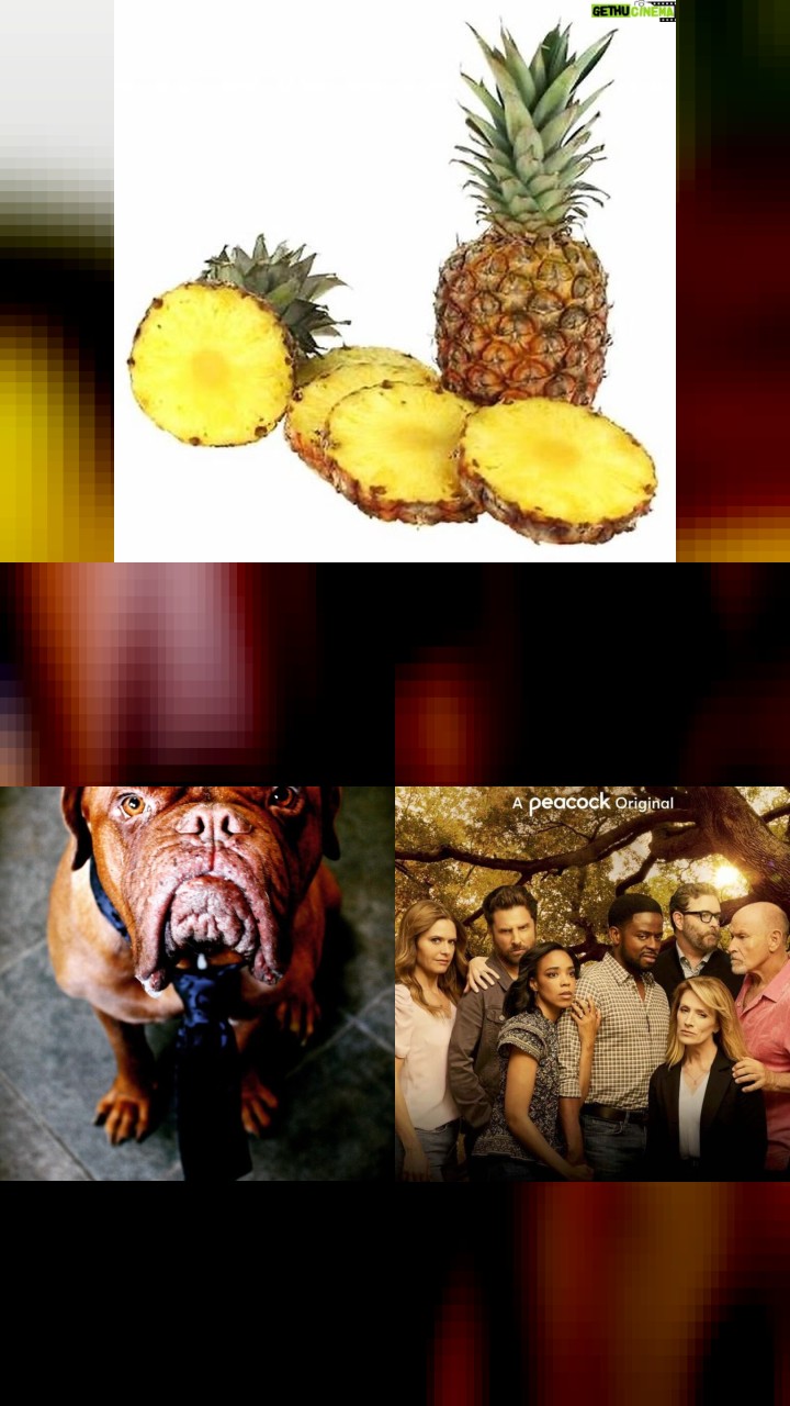James Roday Rodriguez's Instagram Gold: Top 10 Photos