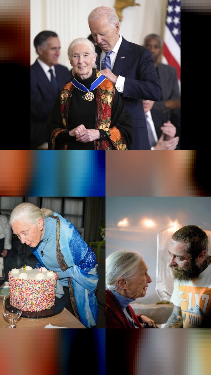 Jane Goodall’s 10 Most Loved Instagram Photos