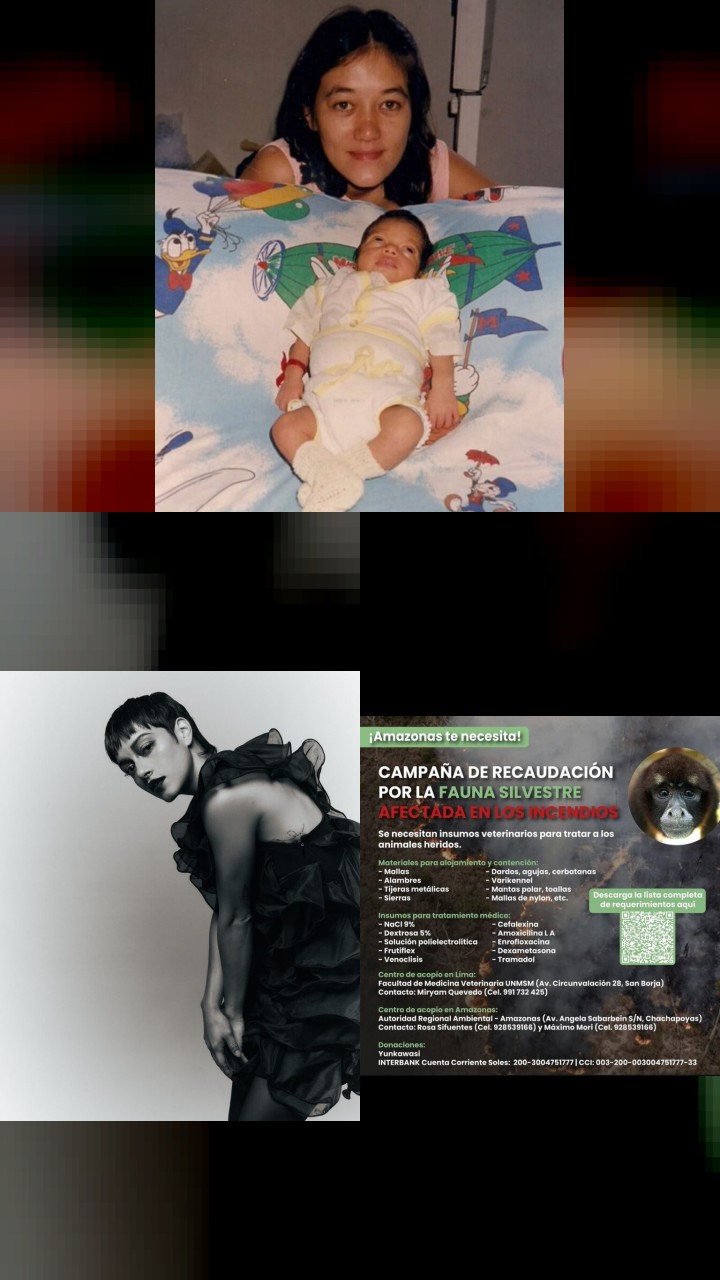 Discover Jely Reategui’s 10 Most Popular Instagram Pics