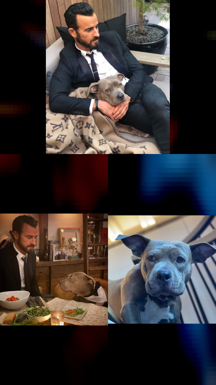 Justin Theroux's 10 Most-Liked Instagram Moments