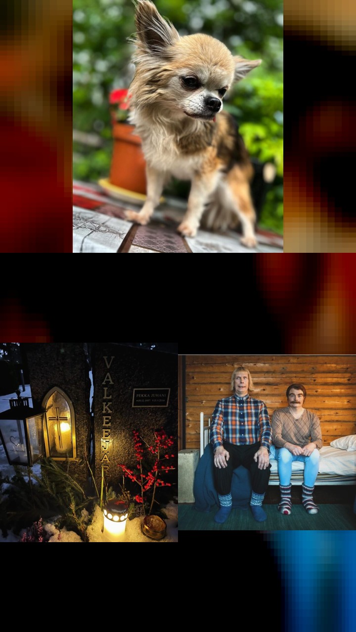 Kari Hietalahti’s Instagram: 10 Most Liked Photos