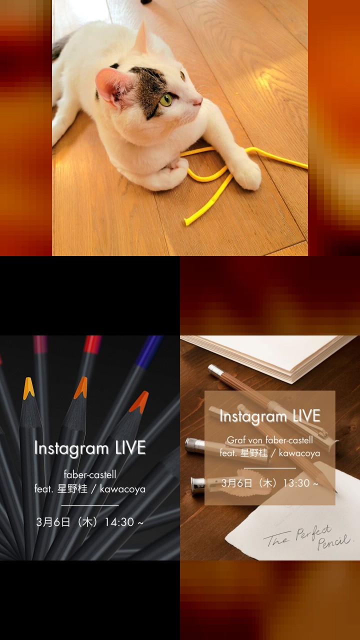10 Best Instagram Photos of Katsura Hoshino
