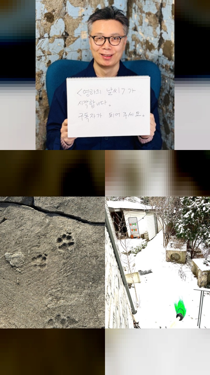 Top 10 Memorable Instagram Photos of Kim Young-ha