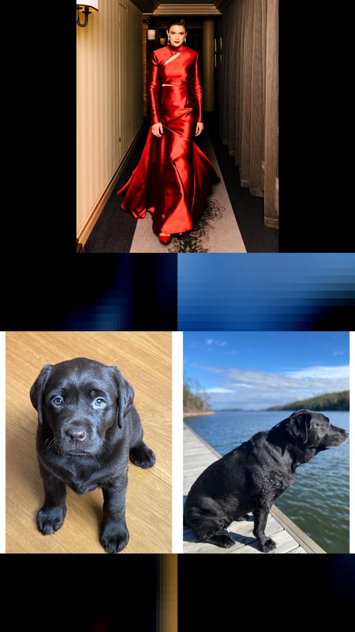 Krista Kosonen's Instagram: The Top 10 Liked Photos
