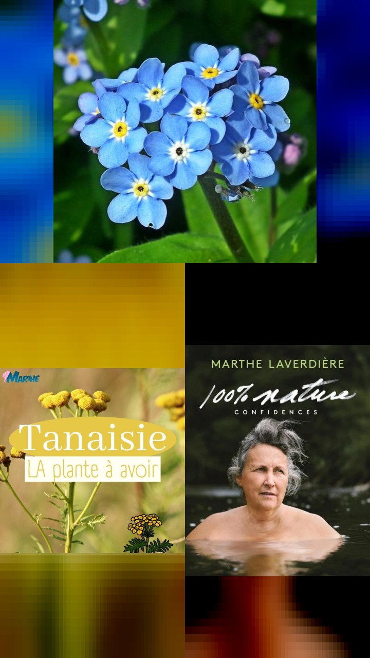 Marthe Laverdière’s Top 10 Instagram Photos of All Time