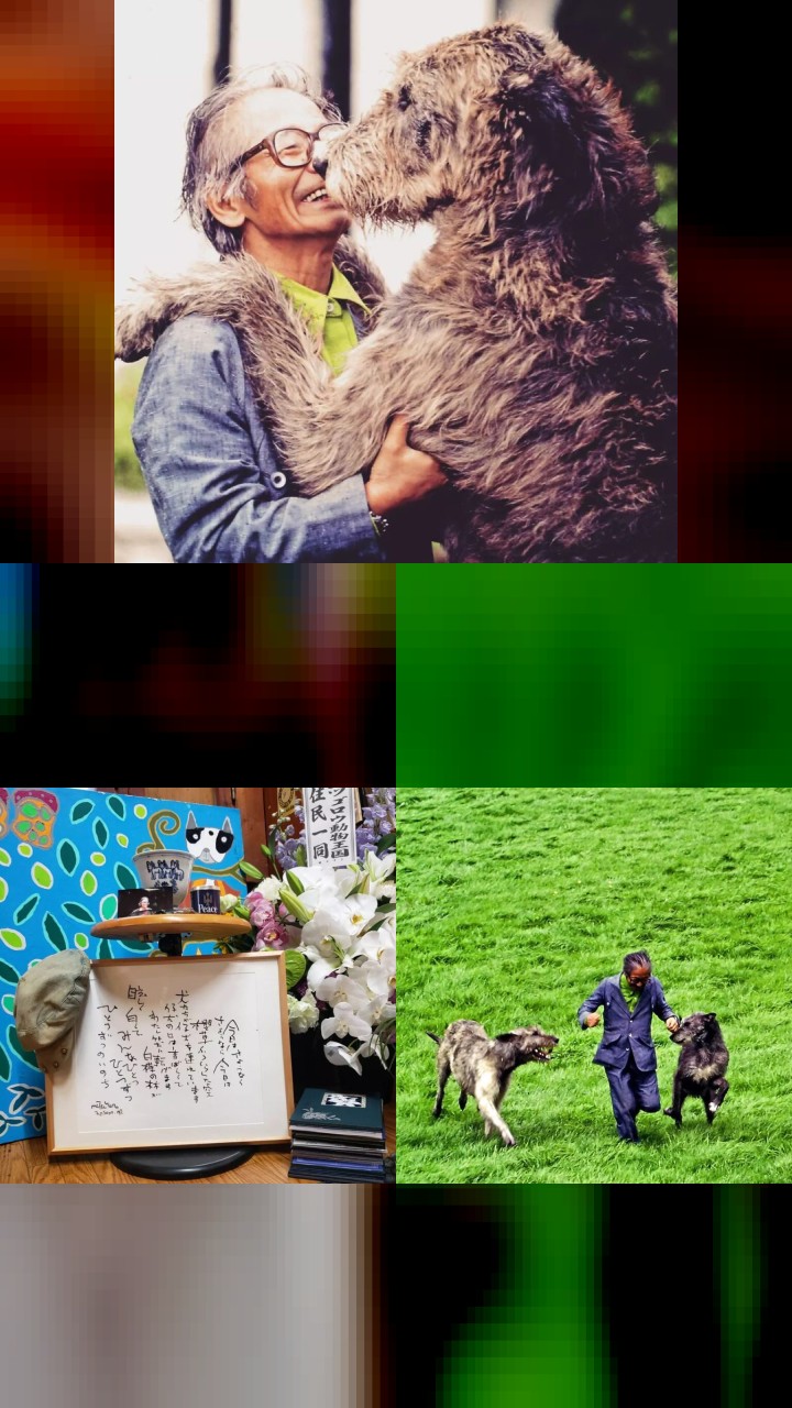 Masanori Hata’s Top 10 Instagram Highlights
