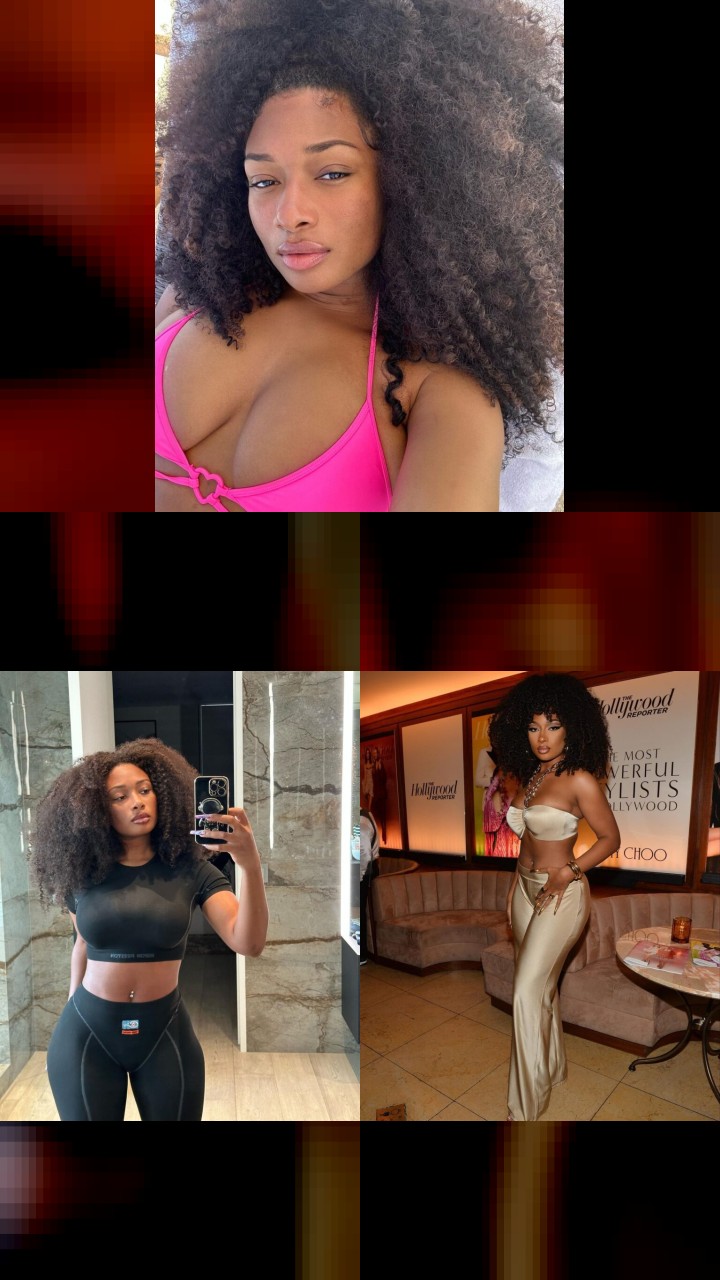 10 Times Megan Thee Stallion Won Instagram