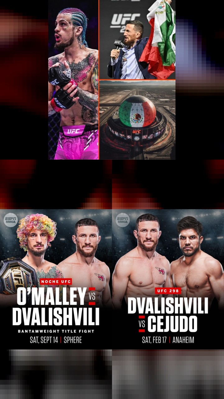Double Tap Frenzy: Merab Dvalishvili's Top 10 Instagram Pics