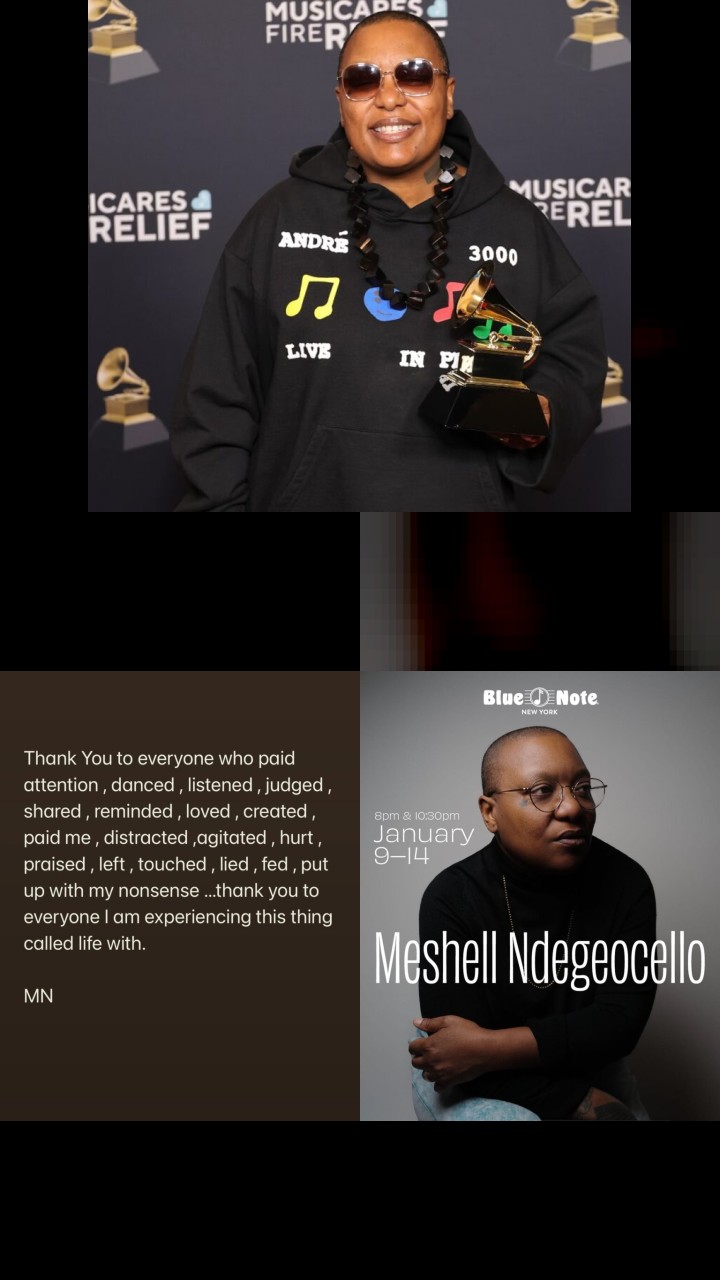 Top 10 Most Engaging Instagram Posts by Meshell Ndegeocello