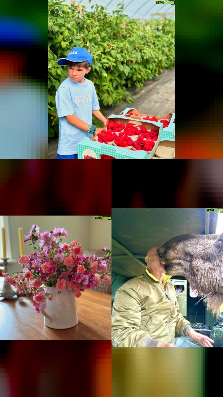 Double Tap Frenzy: Micael Bindefeld's Top 10 Instagram Pics