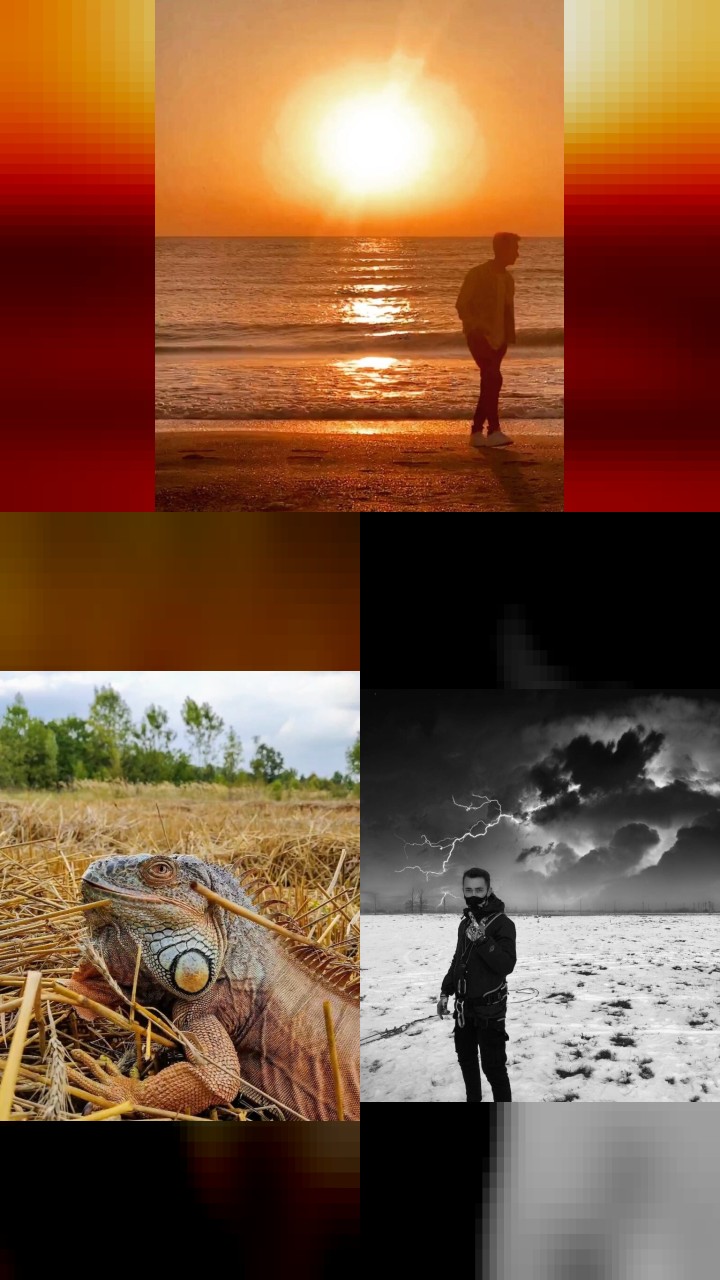 Michael Nicolae’s Instagram: The 10 Most Loved Photos
