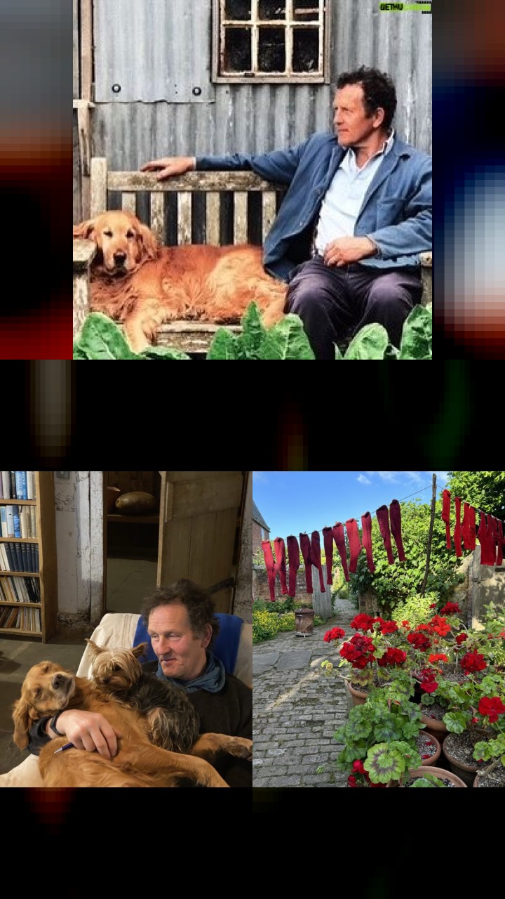 10 Most Popular Instagram Photos of Monty Don