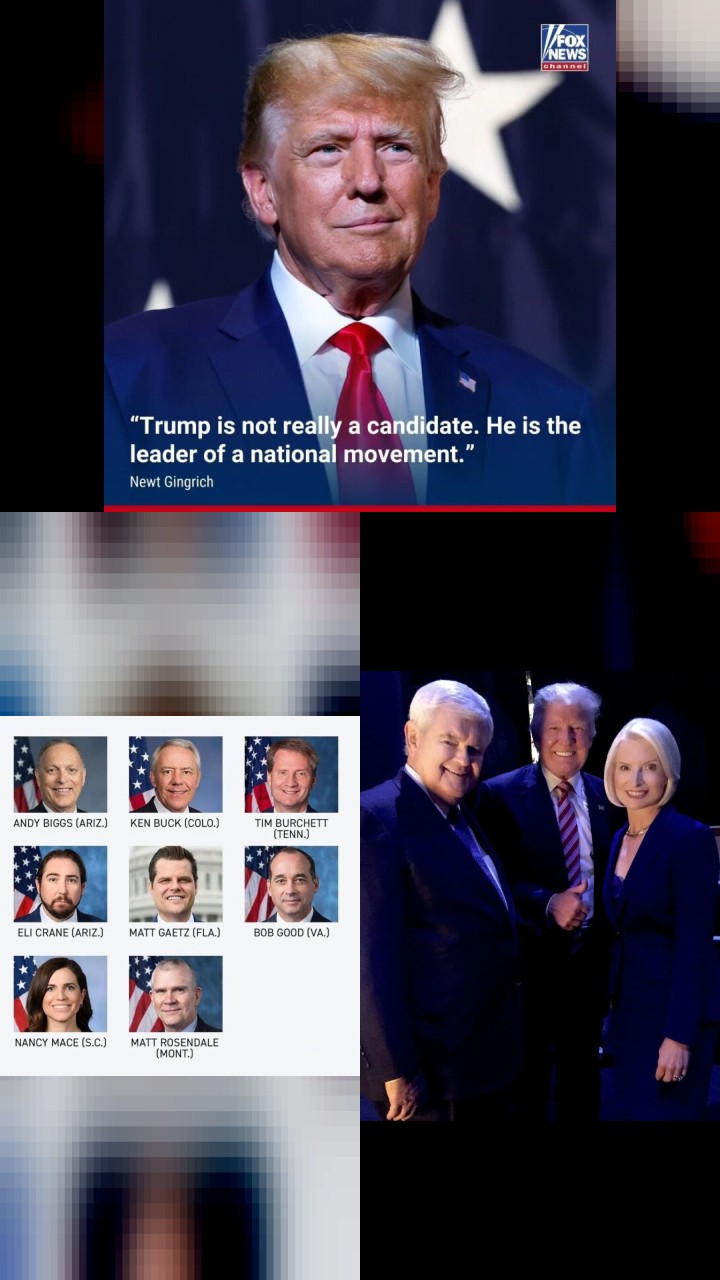 Newt Gingrich's Top 10 Instagram Photos That Got the Most Likes