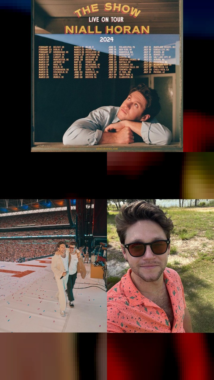 Niall Horan’s Instagram: Top 10 Photos Fans Can’t Get Enough Of