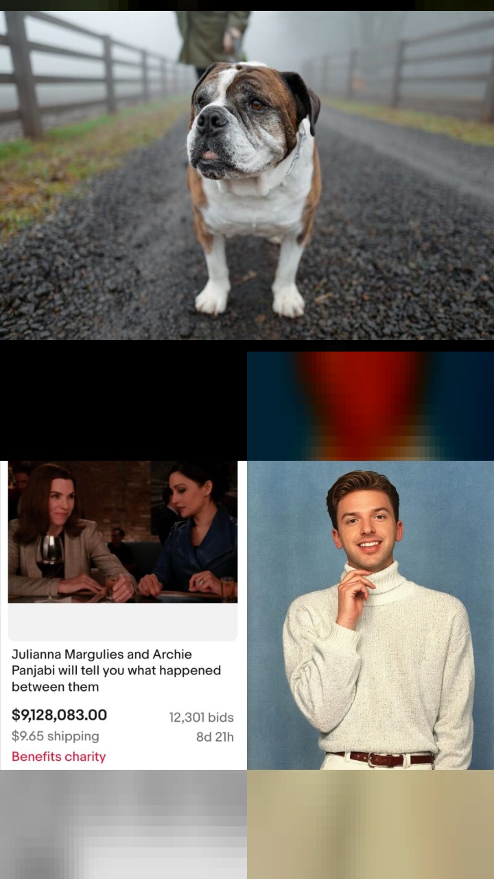 Top 10 Most Engaging Instagram Posts by Paul Scheer
