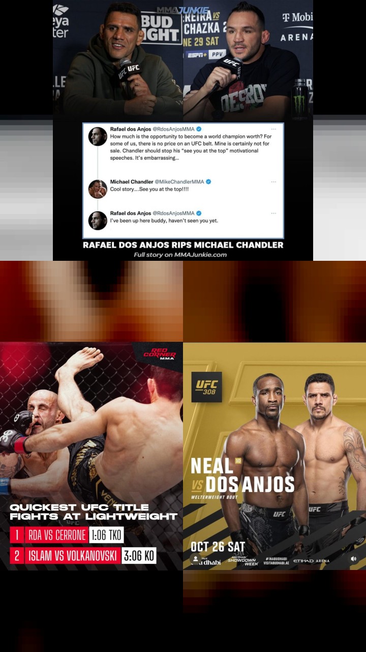 Top 10 Most Engaging Instagram Posts by Rafael dos Anjos
