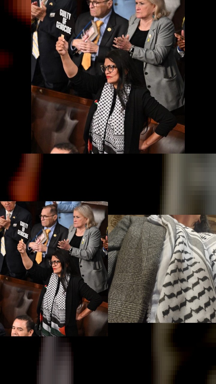 Rashida Tlaib's Instagram Gold: The 10 Most-Liked Posts