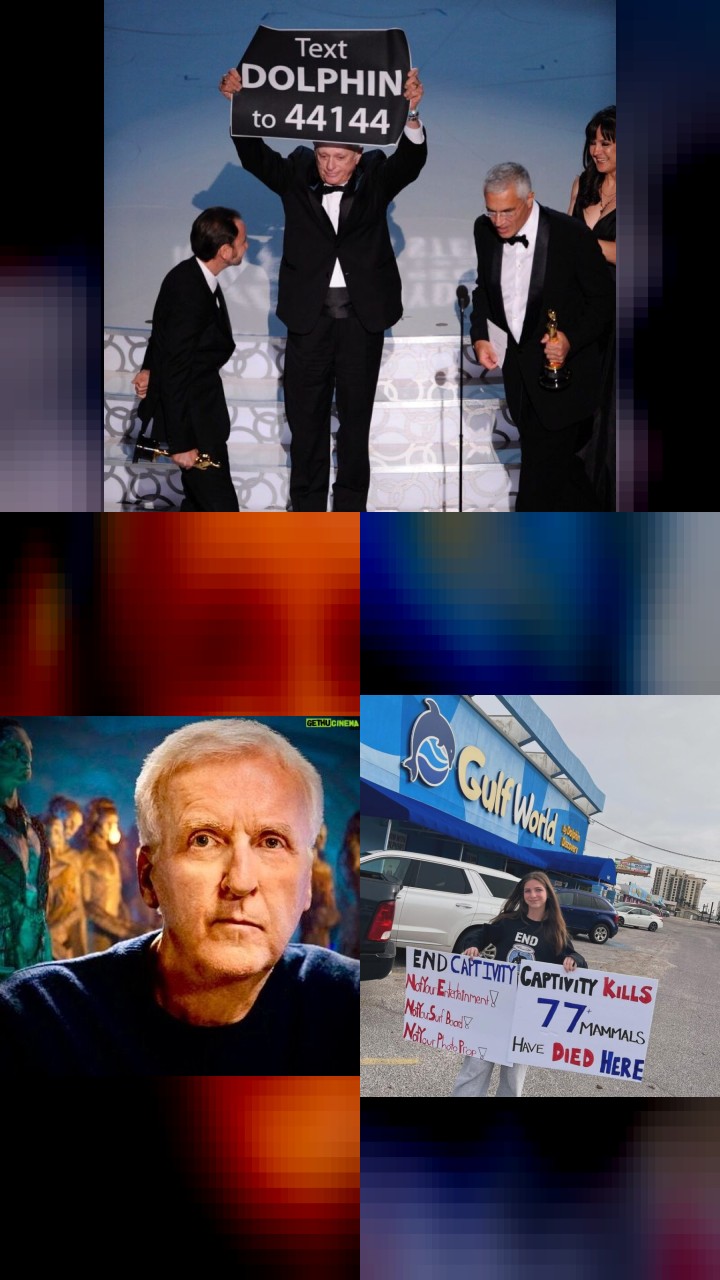 The Top 10 Richard O'Barry Instagram Photos You Need to See