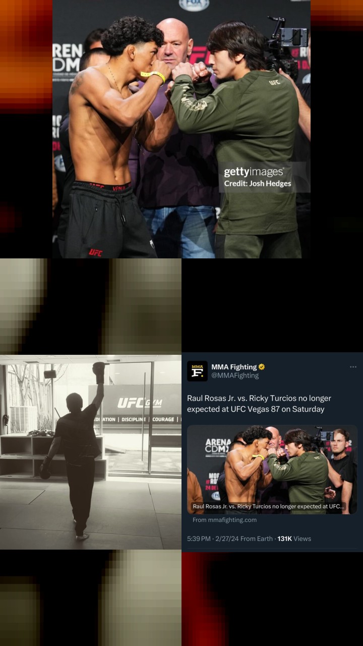 Top 10 Most Engaging Instagram Posts by Ricky Turcios