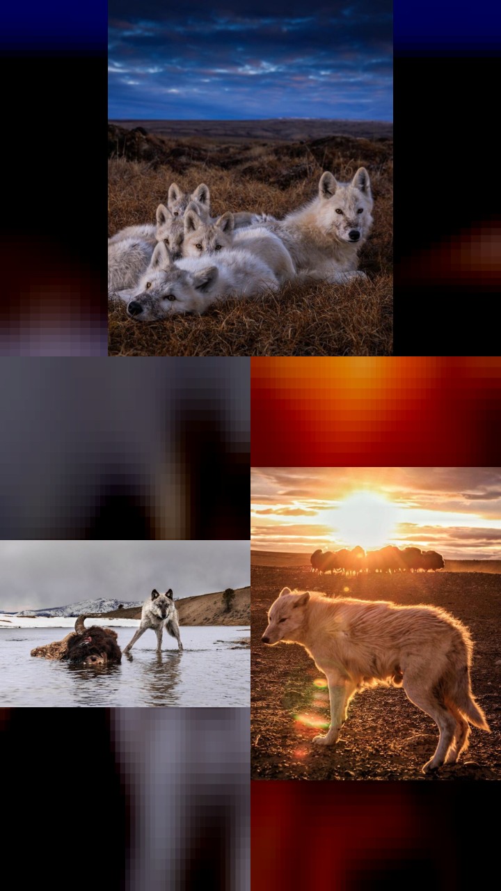 Ronan Donovan's Instagram Gold: Top 10 Photos