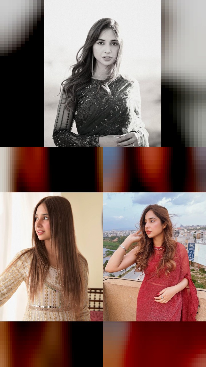 Top 10 Most Engaging Instagram Posts by Sabeena Farooq
