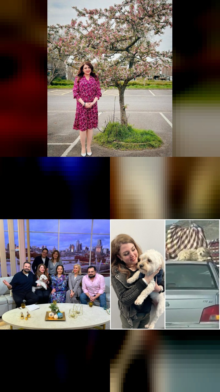 Salome Seyednia’s Top 10 Instagram Photos of All Time