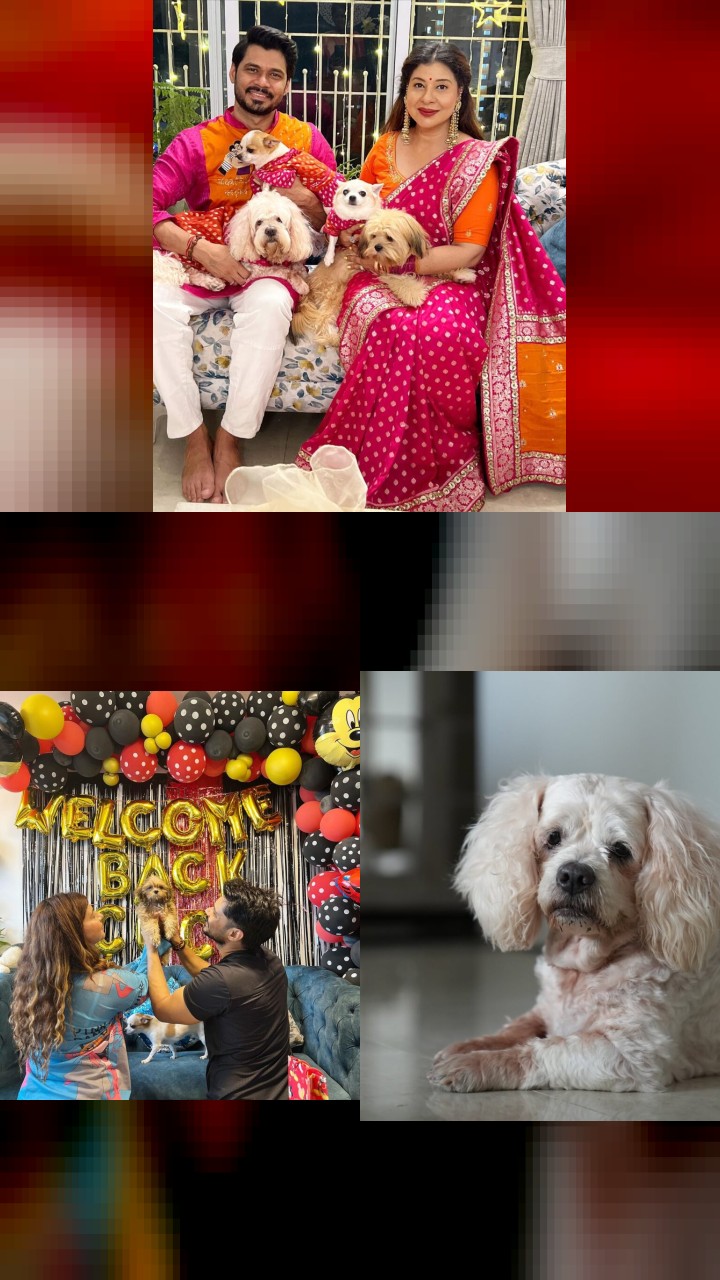 The Best of Sambhavna Seth: Top 10 Instagram Photos